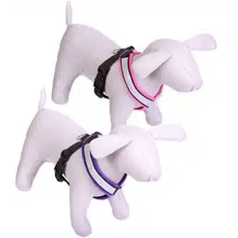 Gustaf o Evita Fleecefodrad sele med reflex