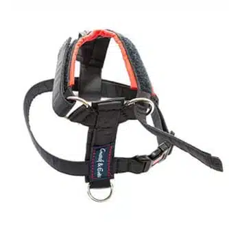 Gustaf o Evita Sele PRO Strap - Bild 2