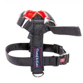 Gustaf o Evita Sele PRO Strap - Bild 3