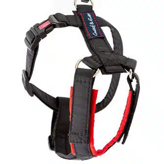 Gustaf o Evita Sele PRO Strap