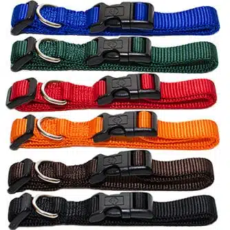 Halsband Hunter Ecco Sport S