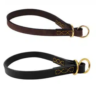 Halsband läder Brisley helstryp