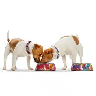 Matskål Melamin Tropical Röd 350 ml - Bild 2